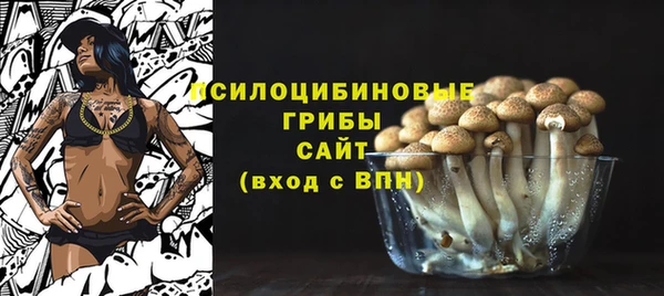 круглые Няндома