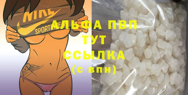 стафф Алексин