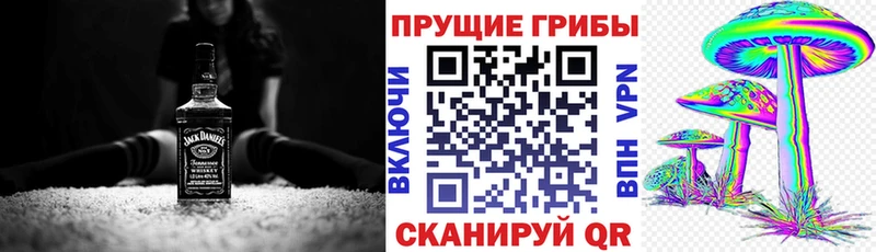 Галлюциногенные грибы Cubensis  Обоянь 